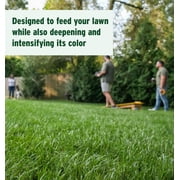 The Andersons Professional 24-0-11 2% Iron Deep Green Fertilizer with NS-54 Nitrogen 40 lb Bag 10,000 sq ft