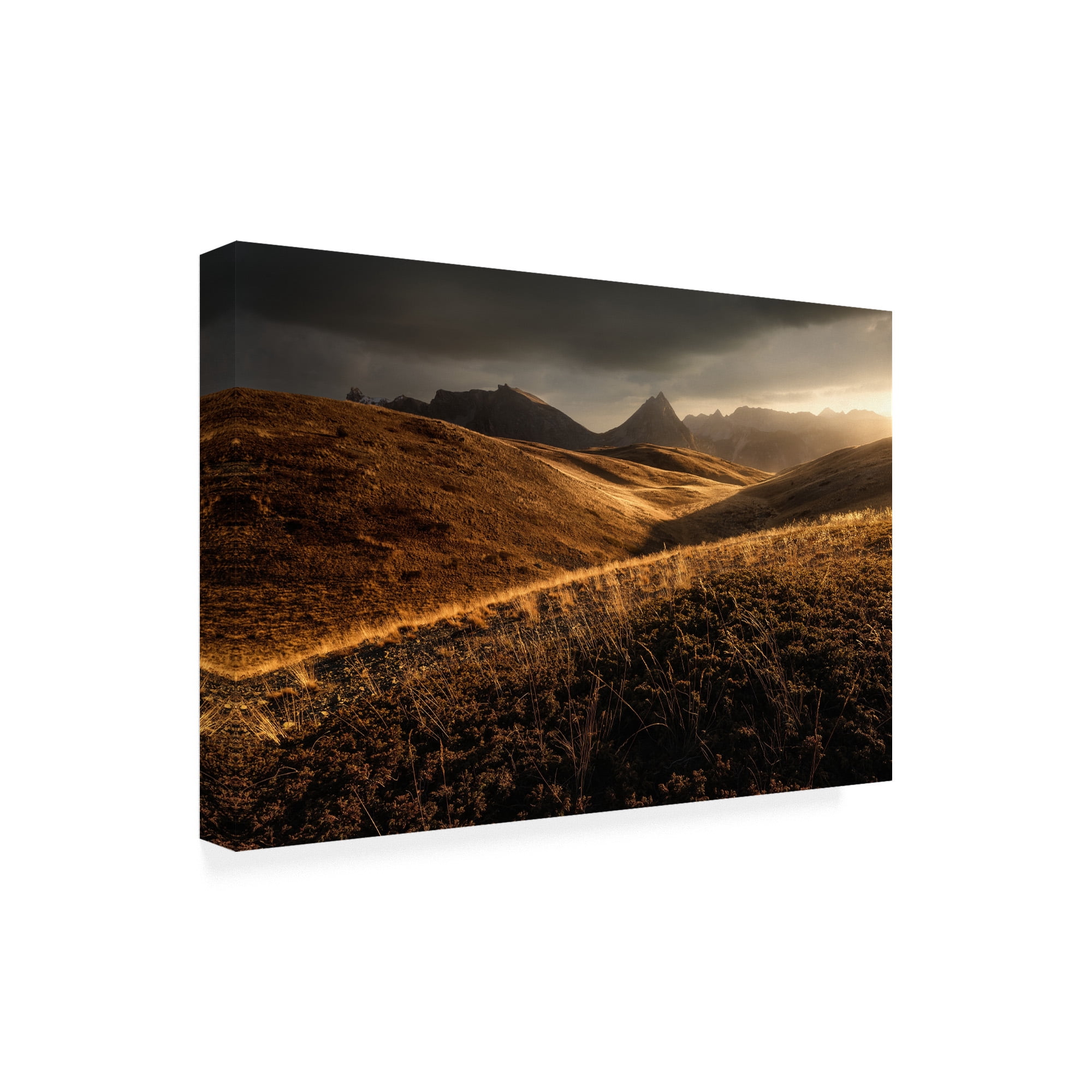 Trademark Fine Art 'Last Autumn Light' Canvas Art by Enrico Fossat