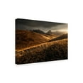 thumbnail image 2 of Trademark Fine Art 'Last Autumn Light' Canvas Art by Enrico Fossat, 2 of 3