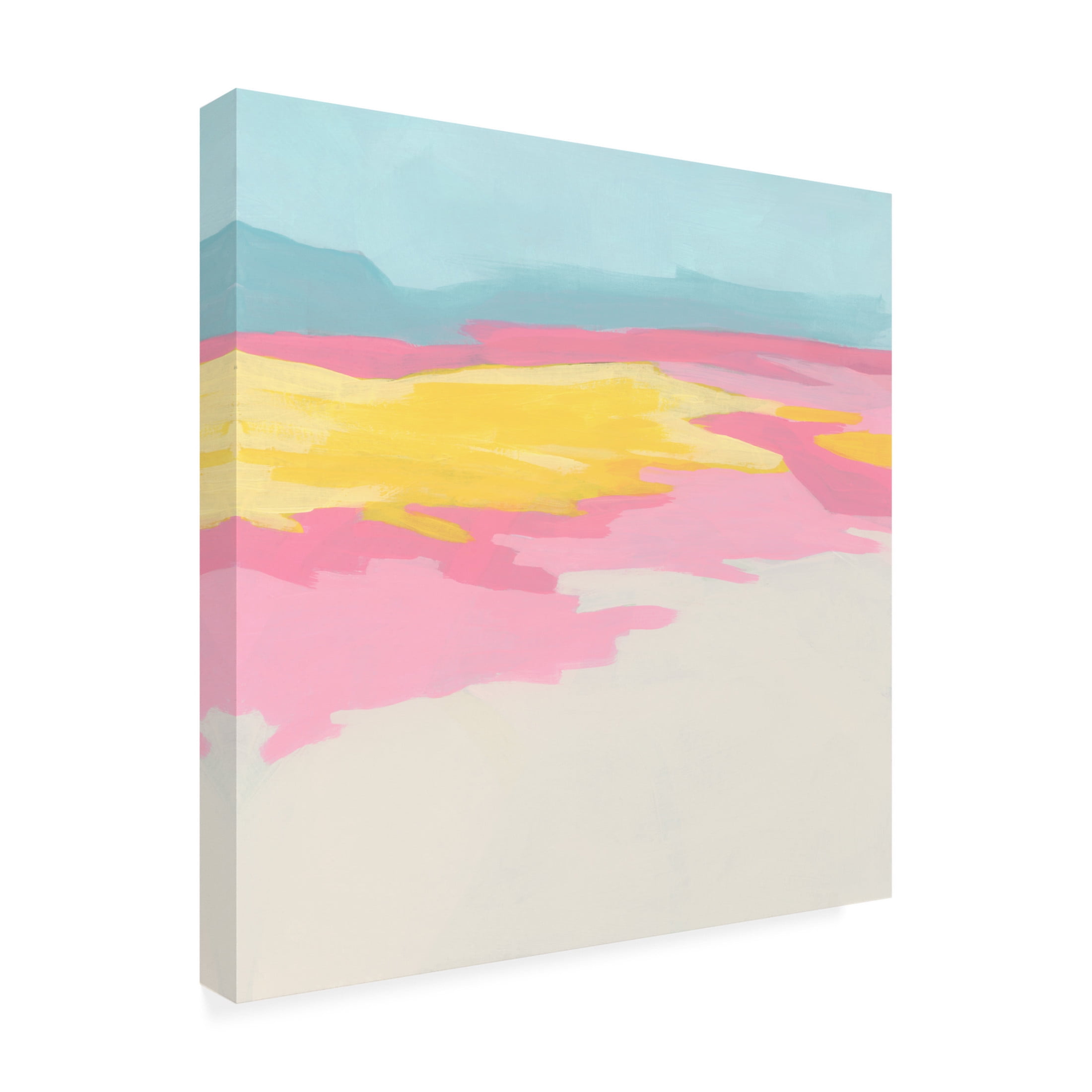Canvas Wall Art - June Erica Vess 'Flamingo Flats II' Wall Art for Living Room, Bedroom, or Office Décor by Trademark Fine Art - 24 x 24 Inches