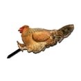 thumbnail image 5 of Brixlen Realistic Hen Acrylic Garden Stake, Lifelike Chicken Yard Art Sign, Weatherproof Animal Ornament for Backyard Patio Lawn Farm Landscape Decoration, 5 of 5