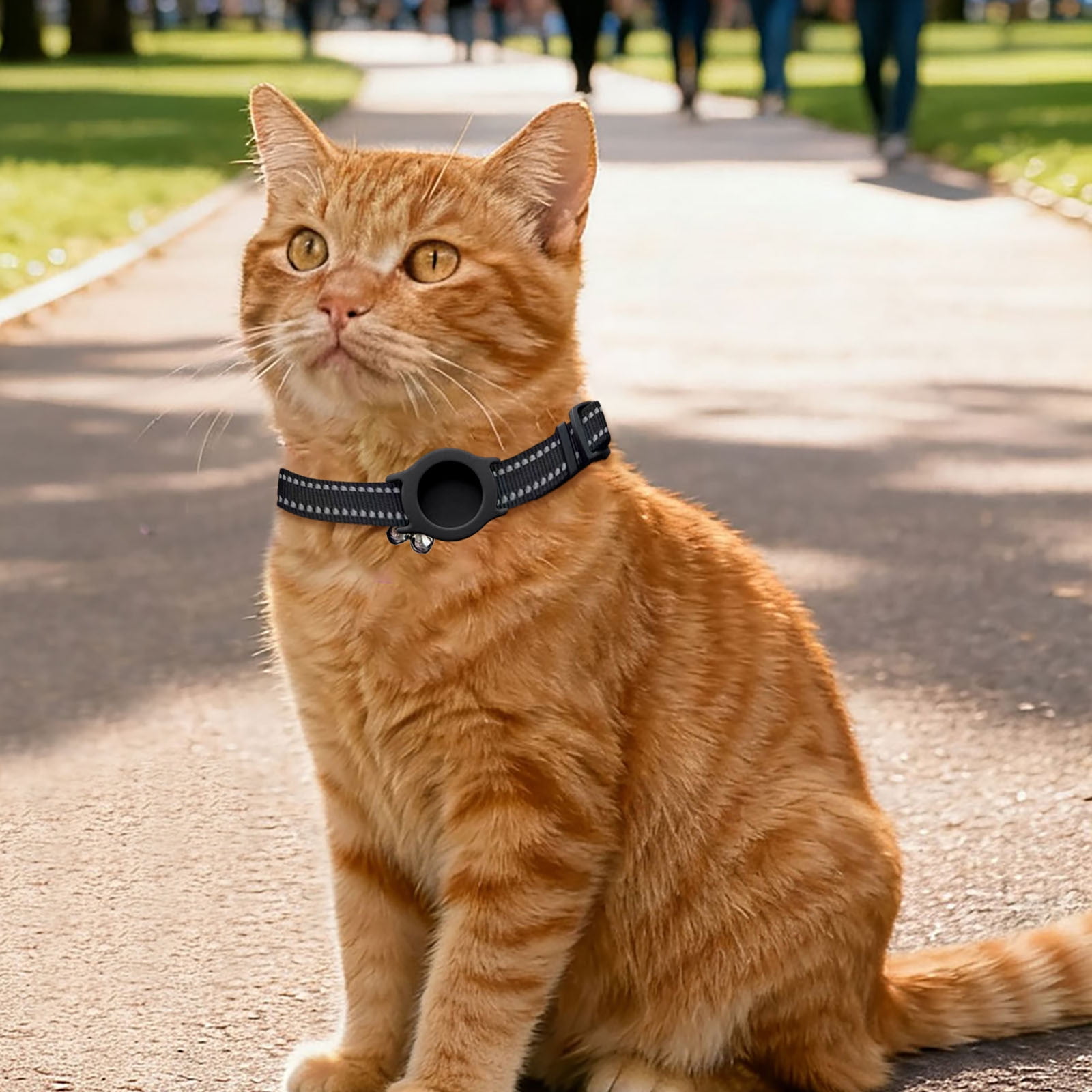 GPS Pet Locator Tracker with Adjustable Collar for Dogs & Cats, Long Battery Life Real-Time Tracking Device, Compatible with iOS Android for Anti-Lost Pet Location Monitoring