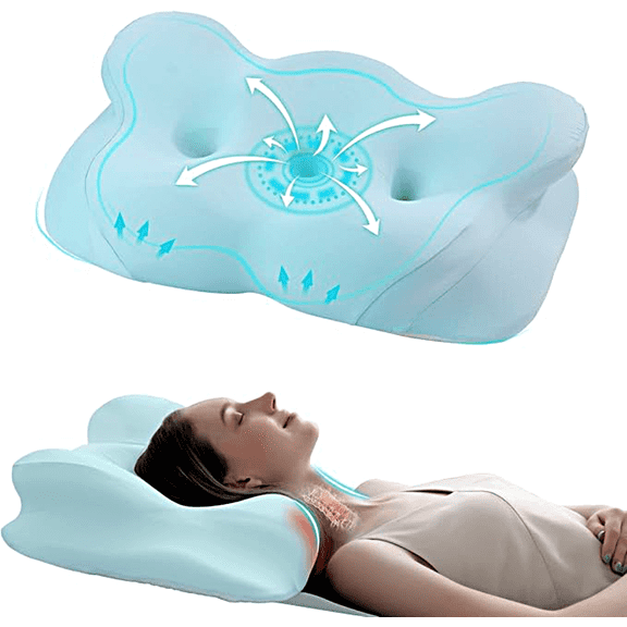 Orchidleaf Memory Foam Bed Pillows and Neck Pillow, Blue, 1 Count