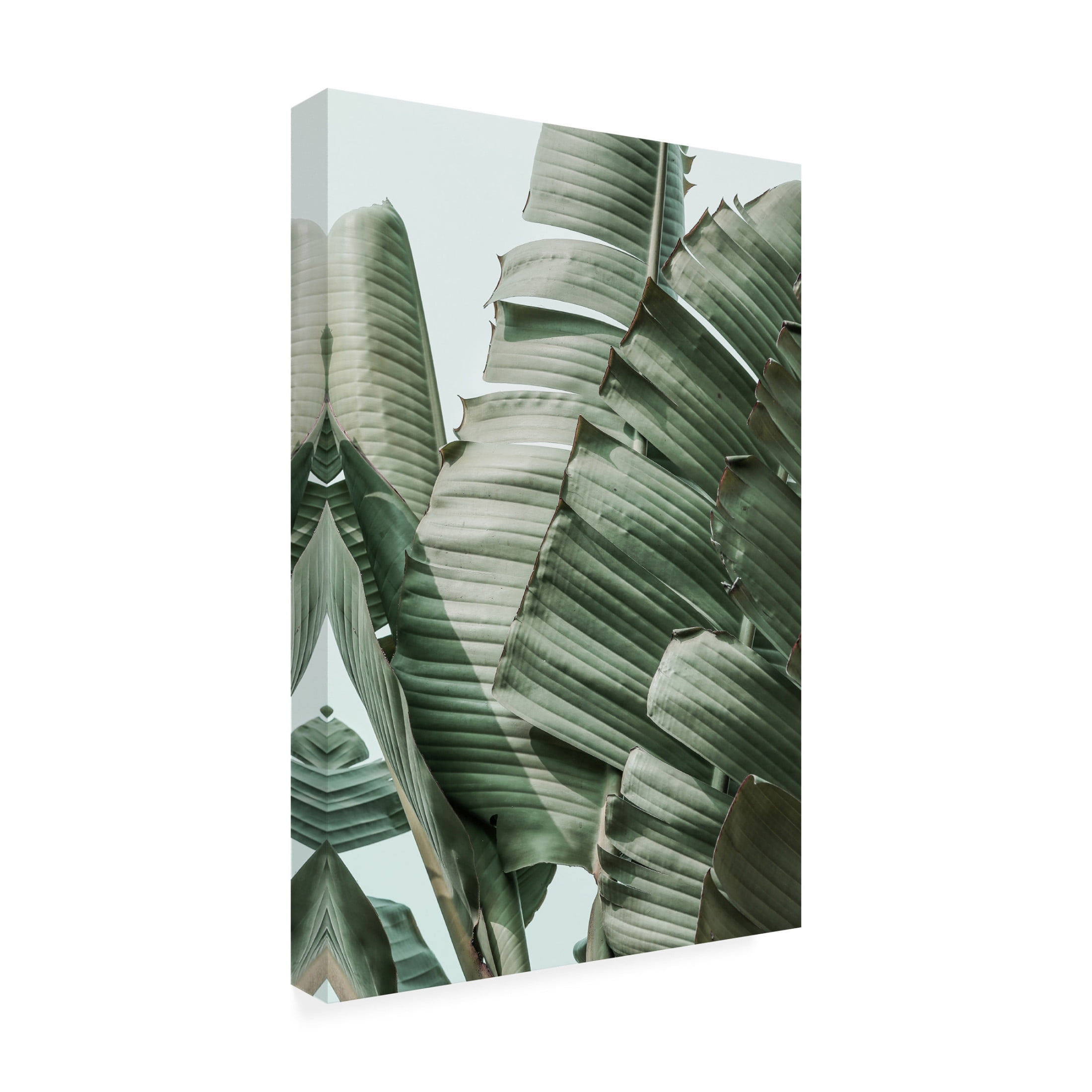 Trademark Fine Art Shot by Clint Garden Gangsta Canvas Wall Art