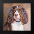 thumbnail image 2 of Fagan, Edie 20x20 Black Modern Framed Museum Art Print Titled - Annabelle Springer Spaniel, 2 of 5