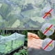 thumbnail image 3 of Red de invernadero a prueba de insectos para el cuidado de frutas y verduras, malla de control de aves, red de seguridad para jardín, cubierta protectora para verduras, 3 of 7