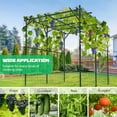 thumbnail image 2 of FICISOG 79" x 79" x 79" Large Tall Grape Vine Support Arch Arbor Trellis Plastic-Coated Metal Garden Arch Trellis for Climbing Plants Vineyard Outdoor Patio Lawn Yard Garden Decoration, 2 of 11