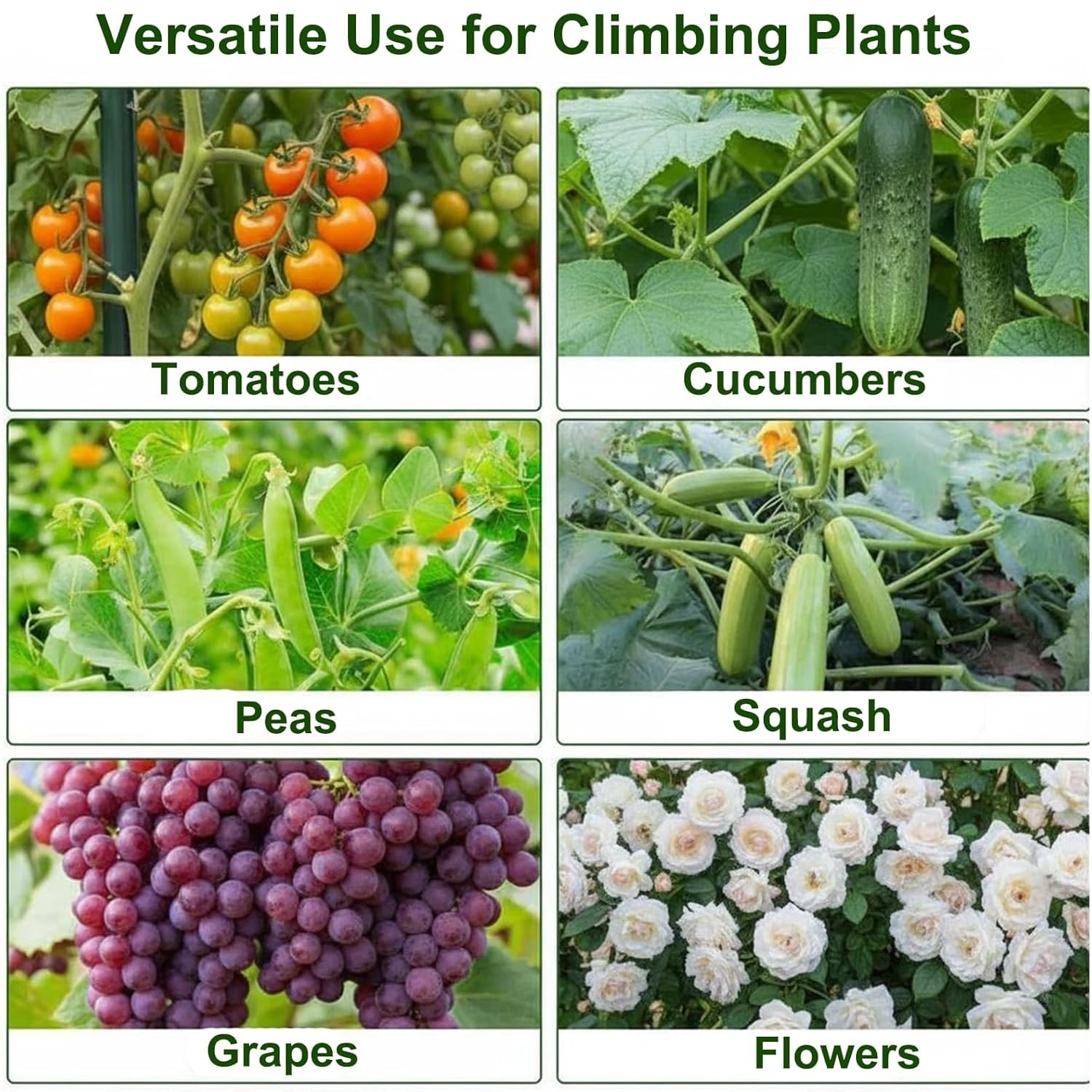 Cucumber Trellis for Raised Bed, 7FT Tall Heavy Duty Metal Garden Arch Support