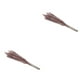 thumbnail image 4 of Ramo Seco de Flores Secas Naturales Injueey 15 Piezas, 4 of 6