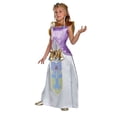 thumbnail image 1 of Zelda Deluxe Child 4-6, 1 of 1