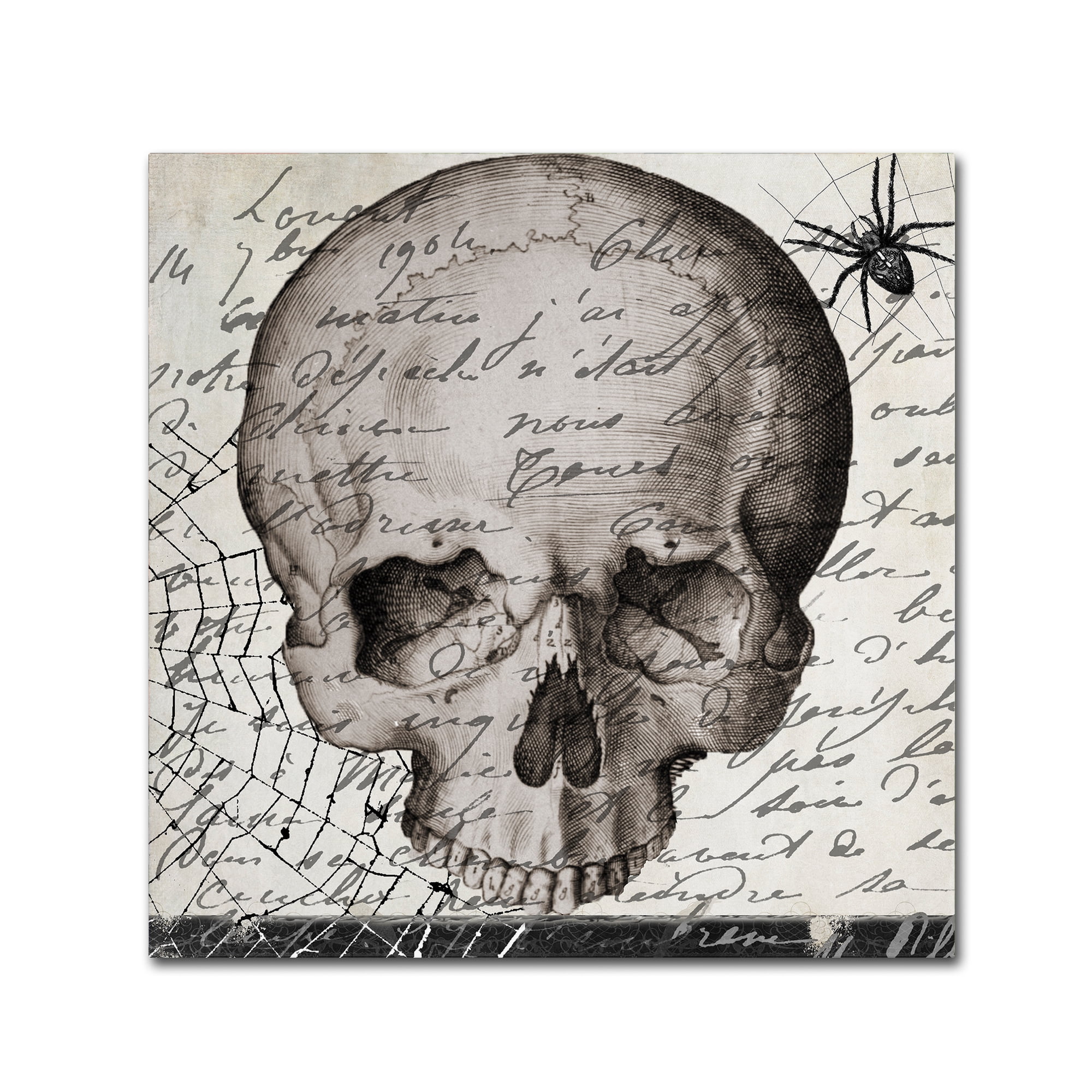 Trademark Fine Art "Halloween Skull" Canvas Art by Color Bakery