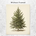 thumbnail image 5 of Christmas Wall Art Prints Vintage Christmas Decor Christmas Tree Pictures Pine Tree Botanical Winter Posters Xmas Canvas Painting for Bedroom Bathroom Living Room Office Decor (8" x 10"-Unframed), 5 of 6