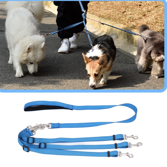 Correa de Nailon de 3 para Perro, Correa triple Ajustable para caminar, Abrenamiento, Perros Pequeños y Medianos, Acolchado