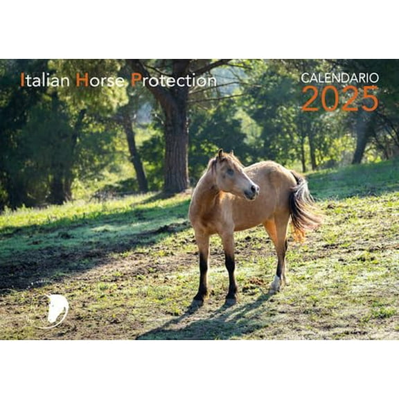 Marco Maroccolo La luce dell'anima. Calendario 2025 (Hardcover)