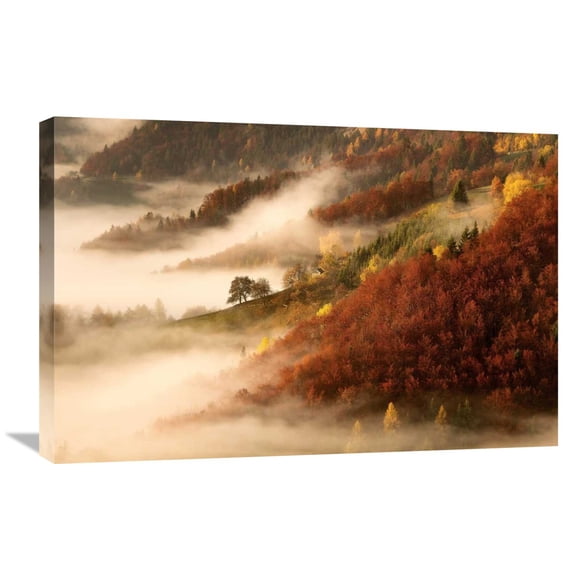 Global Gallery Bor 'Novembers Fog' Canvas Wall Art