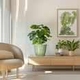 thumbnail image 6 of Ordivic 8 inch Green Ceramic Planter with Drainage Hole and Saucer | Modern Indoor Flower Pot for Snake Plants, Office & Home Decor, 6 of 7