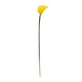 thumbnail image 2 of Nearly Natural 19.5in. Calla Lily Artificial Flower (Set of 12), Yellow, 2 of 6