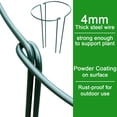 thumbnail image 2 of 8 Pack Plant Support Stakes, Half Round Metal Garden Plant Stake Indoor Peony Cages and Supports, Green Plant Support Ring Border for Tomato,Hydrangea,Flower Outdoor (10" Wide x 15.8" High), 2 of 6