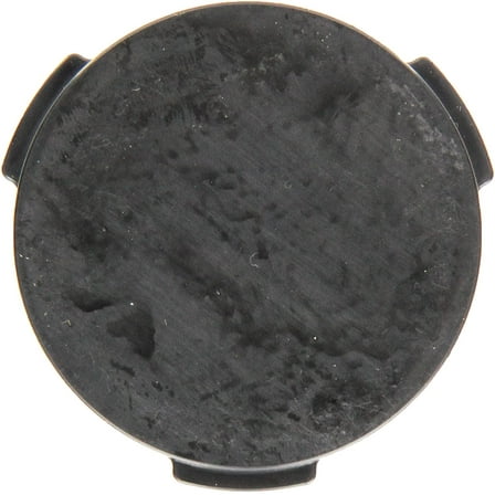 Genuine Frigidaire 241688501 Refrigerator Dispenser Door