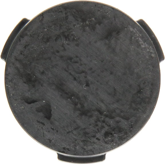 Genuine Frigidaire 241688501 Refrigerator Dispenser Door