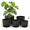 4.5/5/5.5/6.3/7in-Black, variant on JF Plant Pots Indoor planter 5 Pack flower pots for plants planters with Drainage Holes Large Planter Pots for Indoor Plants Outdoor Plant Pot 4.5/5/5.5/6.3/7 Inches (White)
