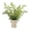 Green#0, variant on Artificial Potted Decoration Simulated Green Small Bonsai Faux for Home Living Room Office Shelf Decor Fake Greenery Tabletop Ornament Ceramic Miniature for Indoor Housewarming Gift Green