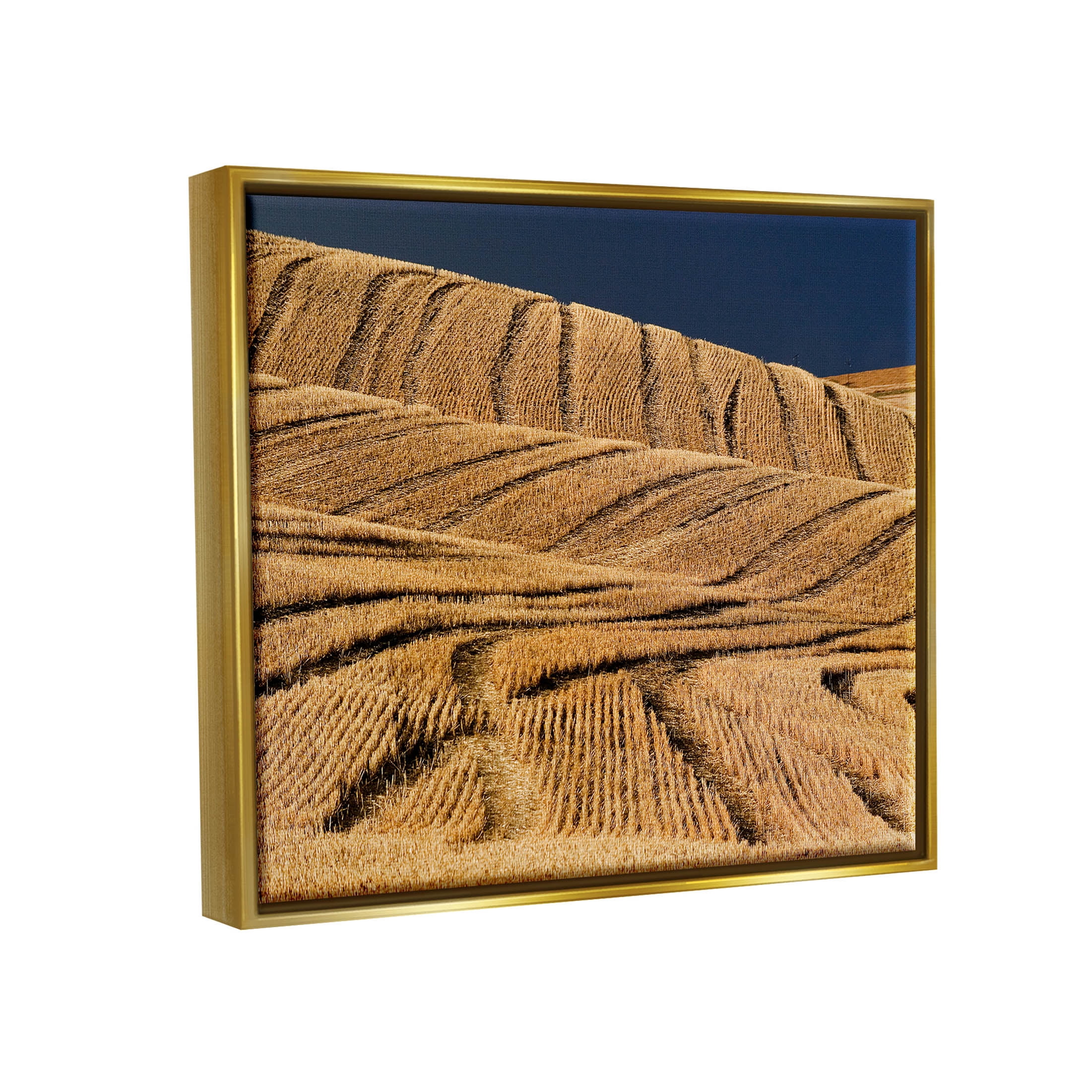 Stupell Industries Wavy Cornfield Lines Vast Rural Field Photograph Metallic Gold Floating Framed Canvas Print Wall Art, Design by David Lorenz