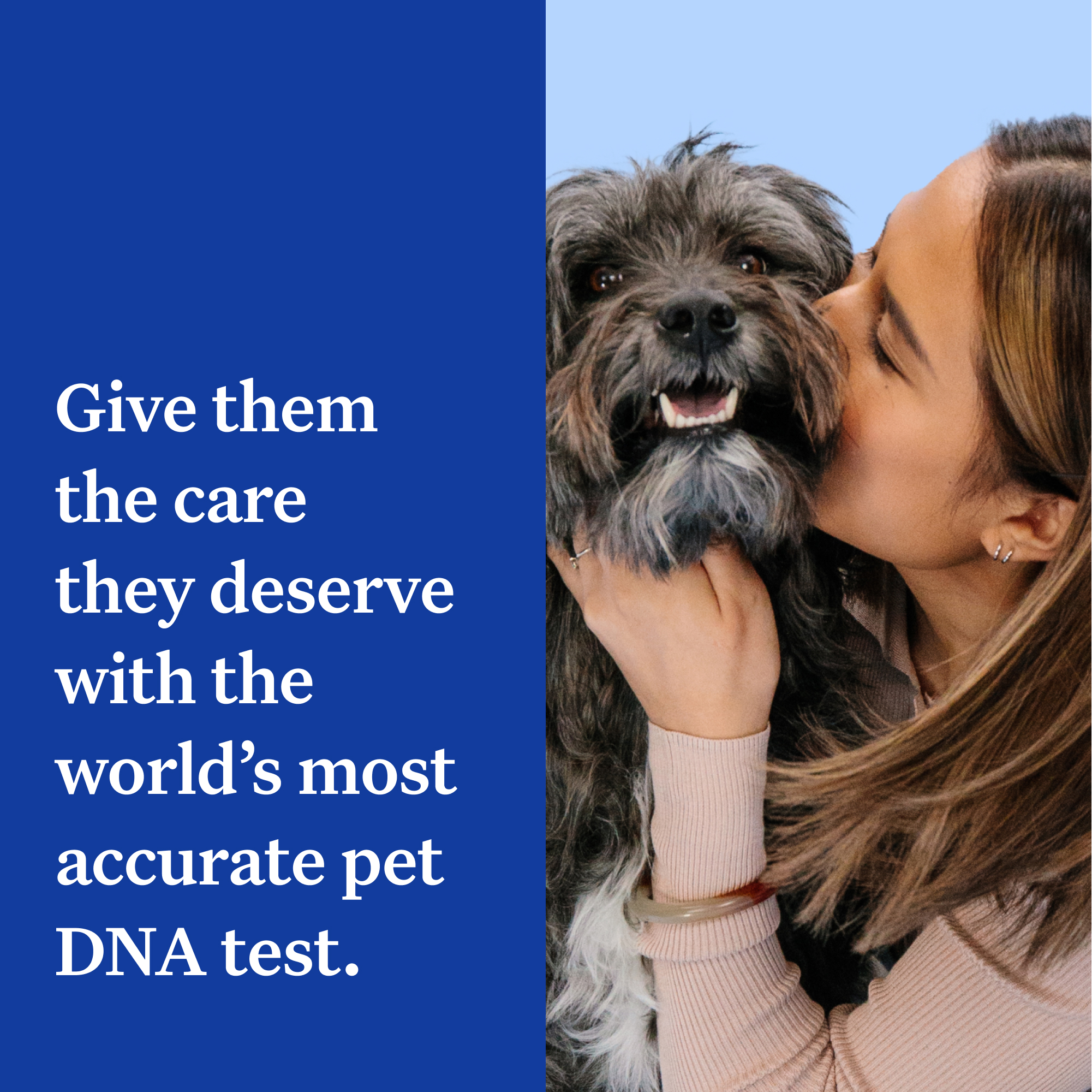 Wisdom Panel Essential, Breed Identification & Health Condition Identification, Dog DNA Test Kit - image 2 of 7