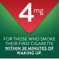 thumbnail image 4 of (2 pack) Equate Mini Nicotine Lozenge 4 mg, Stop Smoking Aid, Cherry Ice Flavor, 108 Count, 4 of 21