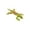 Green, variant on Fabric Lizard Toy with Catnip and Crinkle Sturdy Build for Cats Play