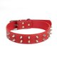 thumbnail image 1 of Collar de perro con remaches, hebilla ajustable, collares elegantes de cuero PU para perros med Abanopi Formación colla, 1 of 7