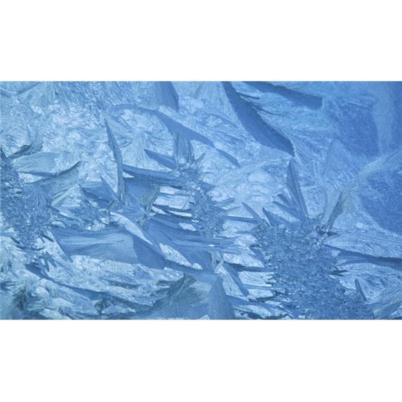 Motifs de Glace Formés sur Verre après un Gel Dur - Nelson Wakefield Affiche de Nouvelle-Zélande - 40 x 22 Po. - Grand