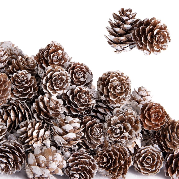 Ebaokuup 150-Pack Mini Christmas Pine Cones, 1" Snow Pinecones for Crafts & Decor