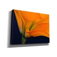 thumbnail image 2 of Epic Graffiti 'Lily Dressed In Orange' by Pamela Plummer, Canvas Wall Art, 16"x12", 2 of 8