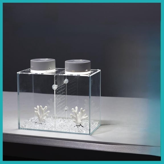 Tnarru Glass Betta Tank with Divider Ultra Clear