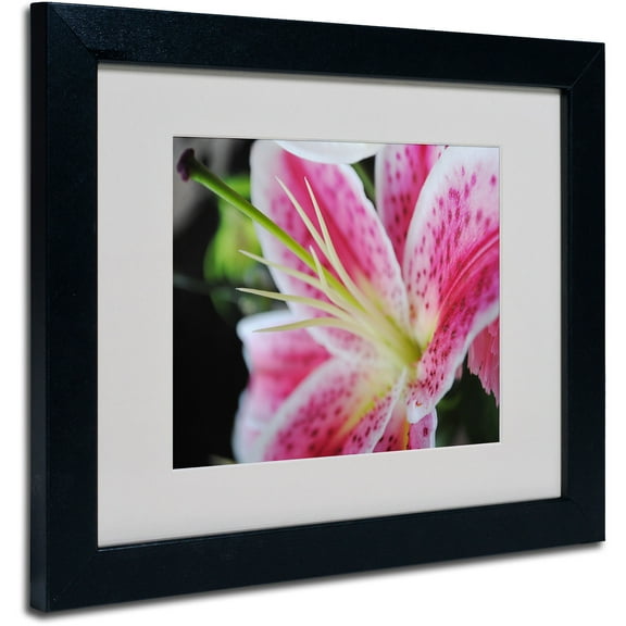 Trademark Fine Art "Pink Flower" by Monica Fleet, Black Frame