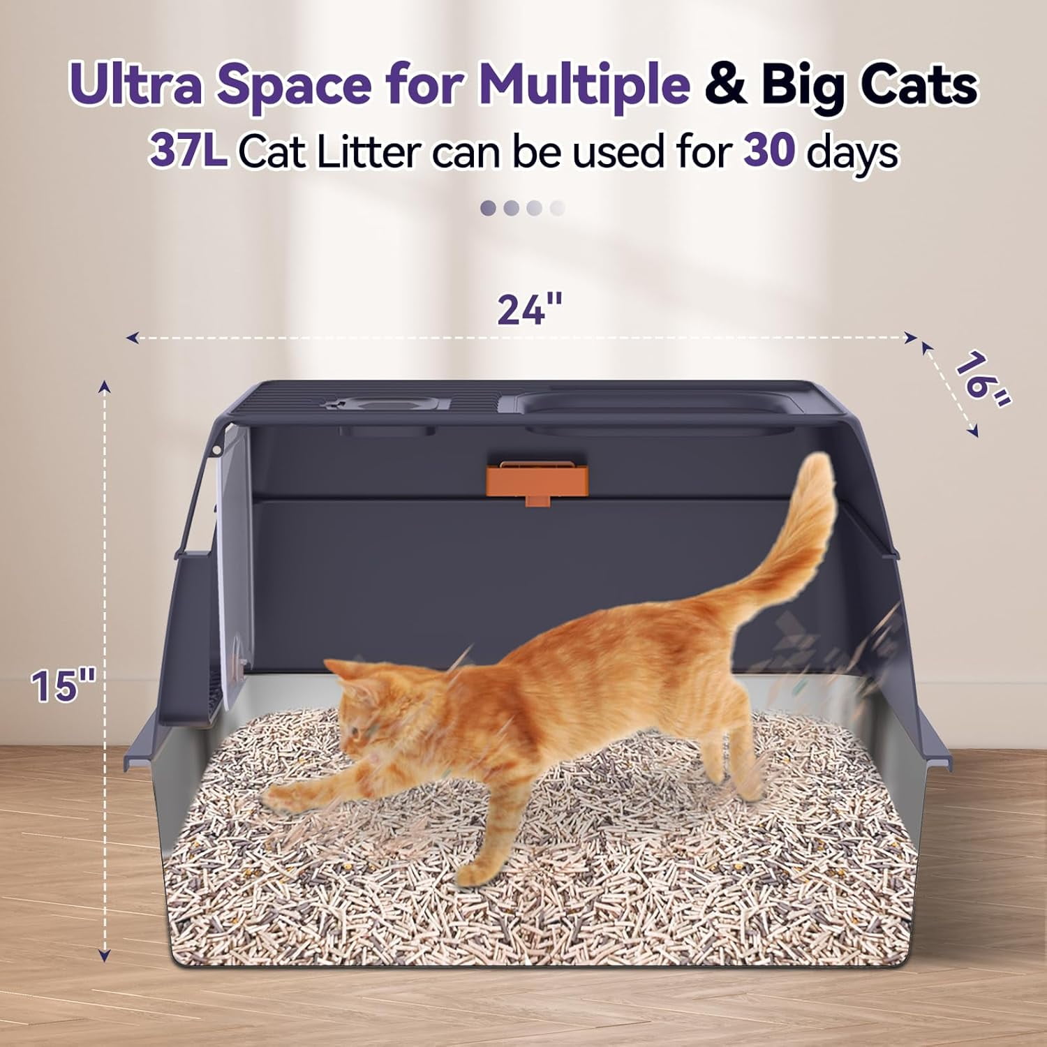 Stainless Steel Cat Litter Box with Removable Lid,Free in & Out Covered Metal Litter Box,Large Enclosed Litter Box with Litter Scoop & Mat, Easy Cleaning, Odor Free,Anti-Leakage for Kitty(Purple)