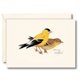 thumbnail image 1 of Set de tarjetas de notas Earth Sky + Water, 8 tarjetas y sobres, 1 of 3