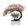 thumbnail image 2 of Bonsai Pine Tree*1 Pot Clearance! Bonsai Tree Potted Artificial Bonsai Tree with Cement Pot Home and Decor Table Desk, 2 of 4