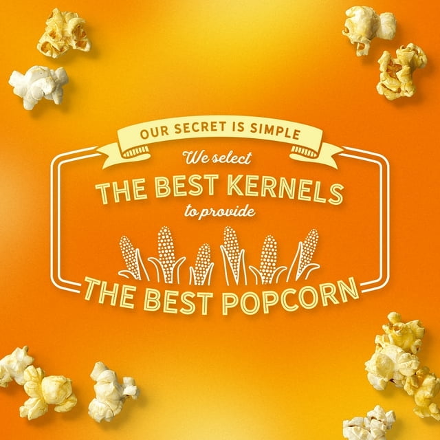AMC Theatres Ready to Eat Popcorn, Extra Butter pack of 2