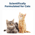 Pet-Ag Cat-Sip Real Milk Treat - 8 oz - Walmart.com