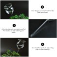 Axio 2pcs Plant Waterer Self Watering Globes Clear Glass Automatic
