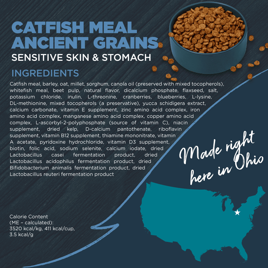 Blackwood Dry Dog Food for Sensitive Skin & Stomach, Catfish Meal with Ancient Grains, 24 lb