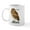 White, variant on CafePress - Burrowing Owl Mug - 11 oz Ceramic Mug - Novelty Coffee Tea Cup