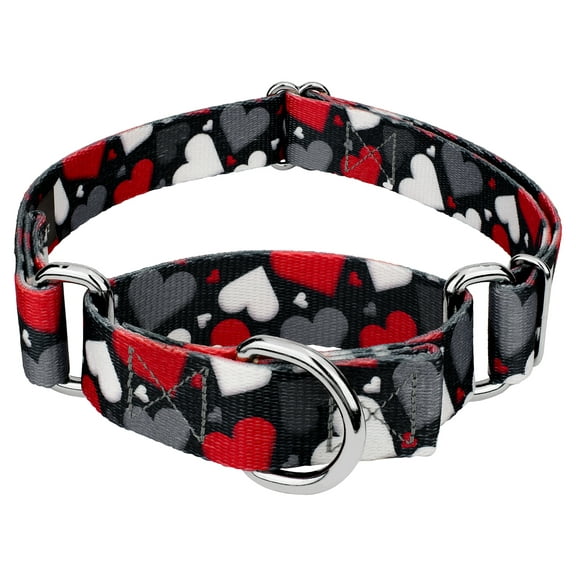 Country Brook Petz® Be Mine Martingale Dog Collar, Small