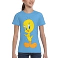 thumbnail image 4 of Cartoon Tweety Bird Teen T-Shirt Crewneck Short Sleeve Double-Sided Print Summer Tee Shirts Top For Youth Boys Girls Children X-Large, 4 of 7