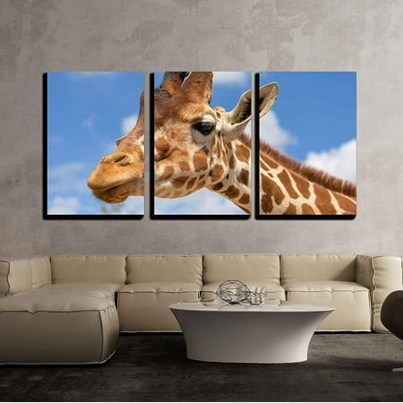 wall26 - 3 Piece Canvas Wall Art - Close Up Shot of Giraffe Head - Modern Home Decor Stretched and Framed Ready to Hang - 16