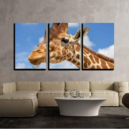 Giraffe Head Peg - wall26 - 3 Piece Canvas Wall Art - Close Up Shot of Giraffe Head - Modern Home Decor Stretched and Framed Ready to Hang - 16