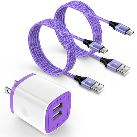 Type C Charger Block, Dual Port Wall Charger Adapter with 2pcs Type C Charging Cable 6FT, USB C Charger Fast Charging USB Brick Cube Power Base Charger Station Compatible for iPhone Samsung, Purple
