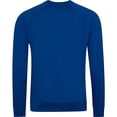 thumbnail image 2 of AWDis Academy Boys/Girls Crew Neck Raglan School Sweatshirt, 2 of 4